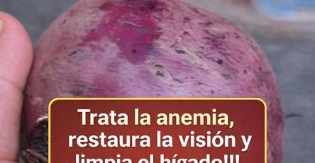 672331171 1527011282318909 5594027226178584261 n