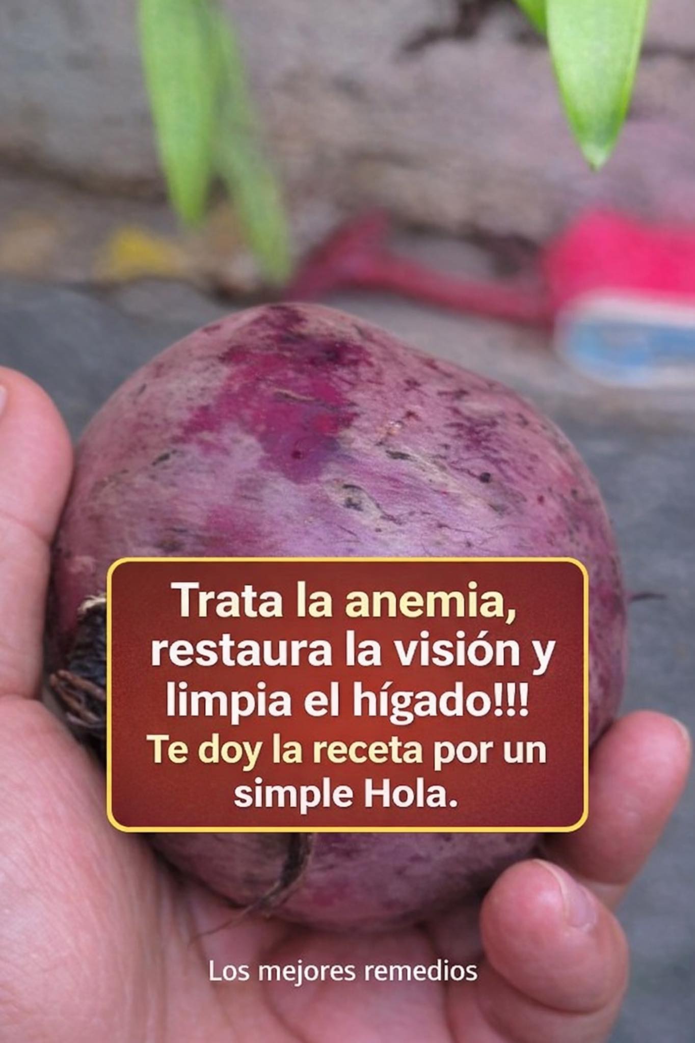 672331171 1527011282318909 5594027226178584261 n