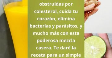 672680500 1530136492006388 2351810063341689913 n