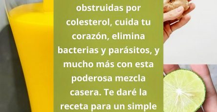 672680500 1530136492006388 2351810063341689913 n