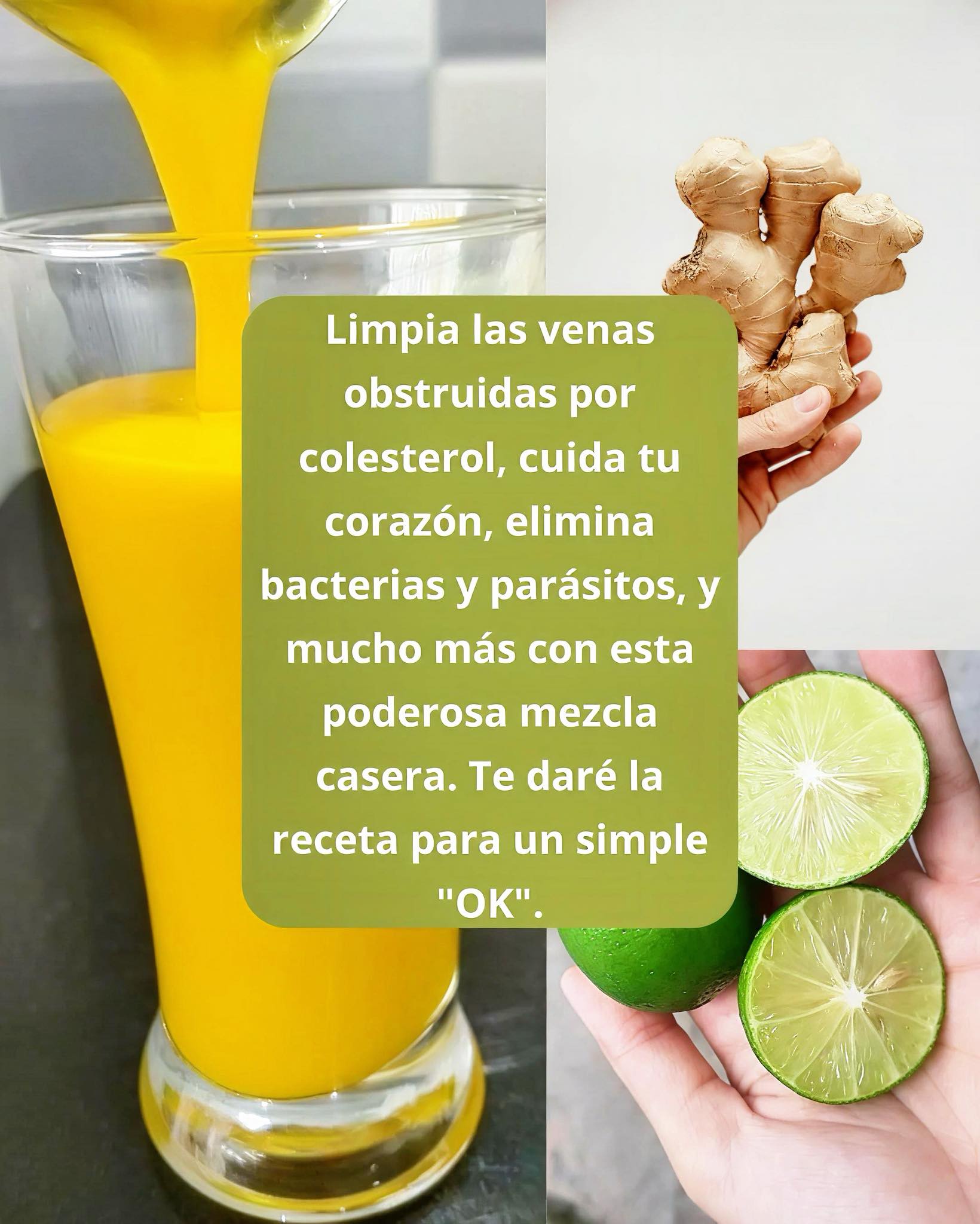 672680500 1530136492006388 2351810063341689913 n