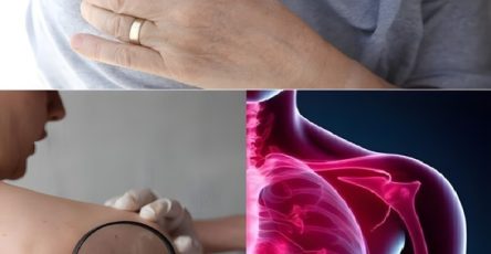 673217866 1418093723691735 5940109239868689376 n