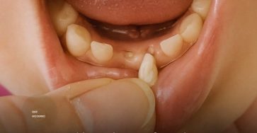 673395505 1397254652420400 7639960282066903997 n