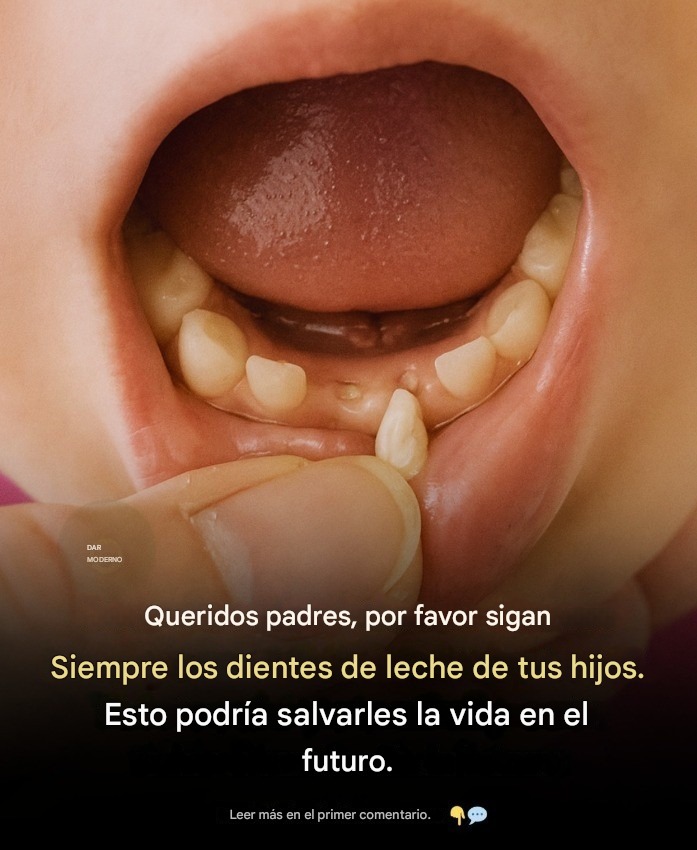 673395505 1397254652420400 7639960282066903997 n