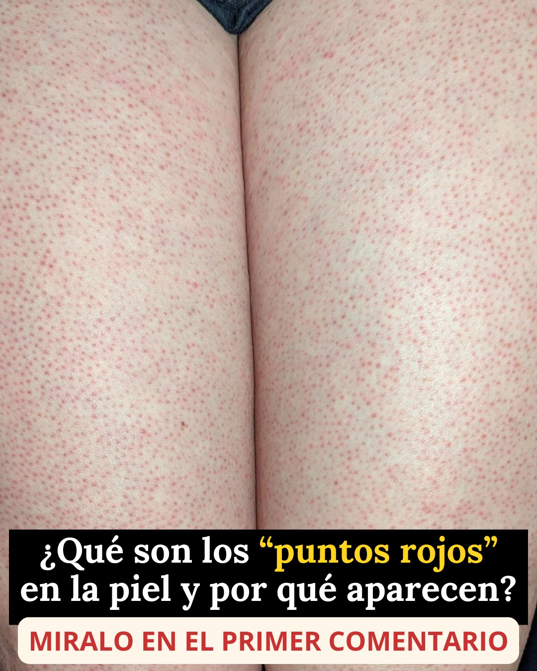 675444738 1520290389666498 7334797330182700427 n