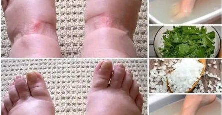 676163138 1477614777336435 8114399606684796492 n