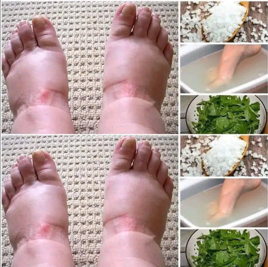 676163138 1477614777336435 8114399606684796492 n