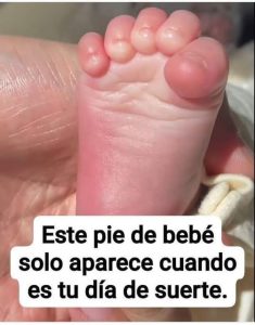 676467320 1281304390862850 9060333000110745958 n