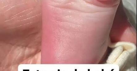 676467320 1281304390862850 9060333000110745958 n