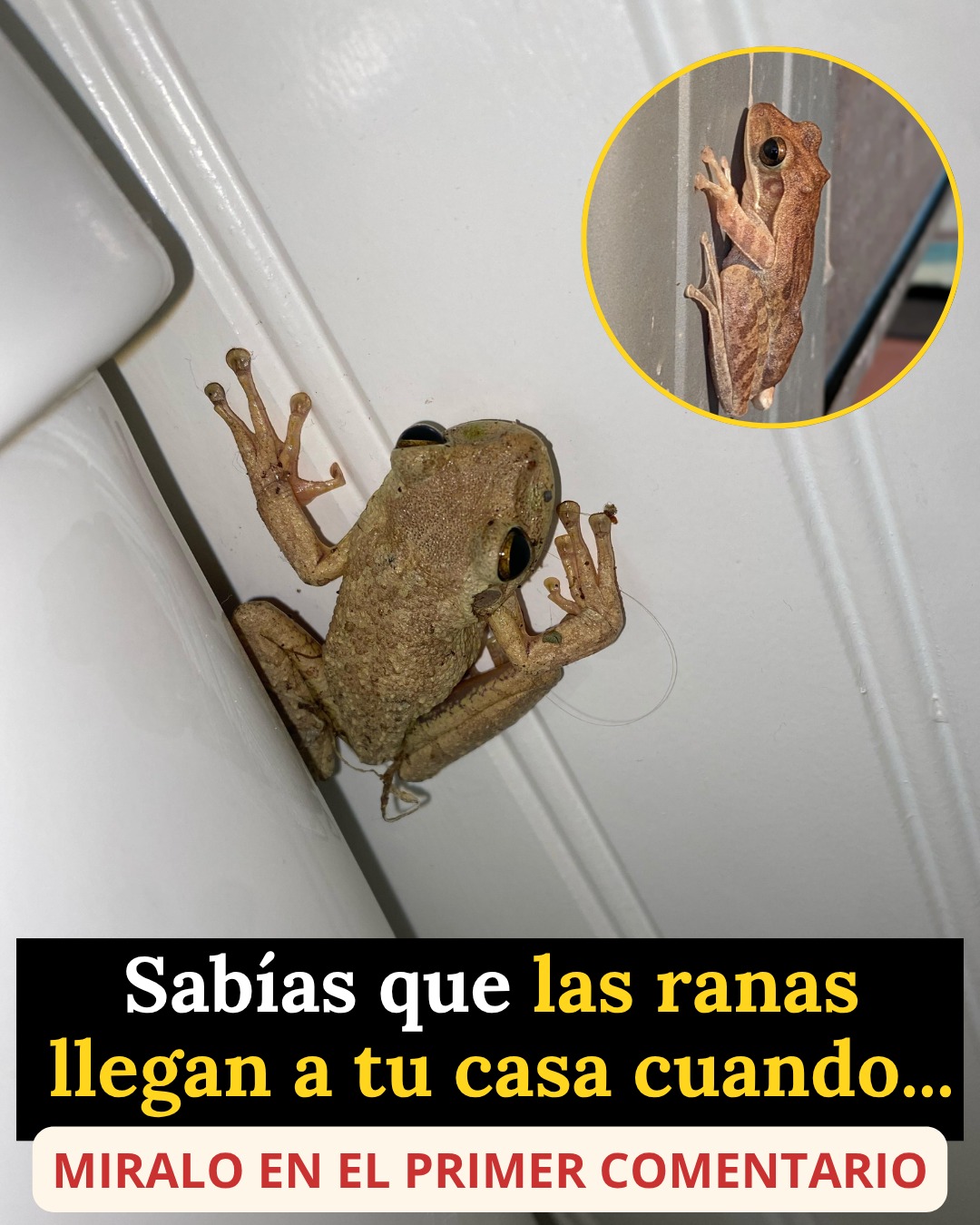 677595496 1520820526280151 255977329886289458 n