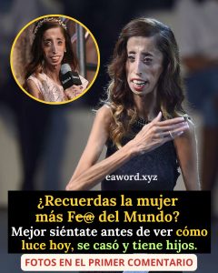 677725676 1521611239534413 6991614821319546434 n