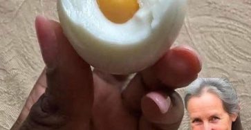 678236100 1585985349141270 9097429722789676321 n