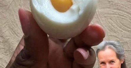 678236100 1585985349141270 9097429722789676321 n