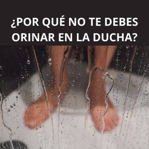 678383534 122196013412522036 3110529272725825894 n