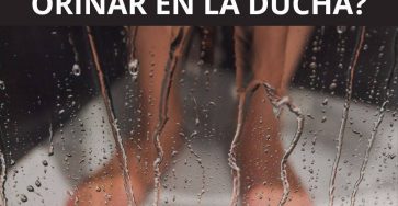 678383534 122196013412522036 3110529272725825894 n