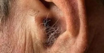 764df0ed 6cba 4610 b246 36d760fccb61