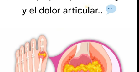 Capture decran 2026 02 18