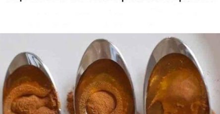 WhatsApp Image 2025 06 26 at 20.47.38