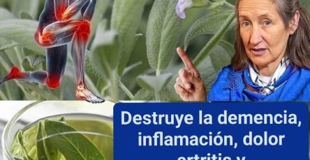 WhatsApp Image 2026 01 29 at 16.46.24