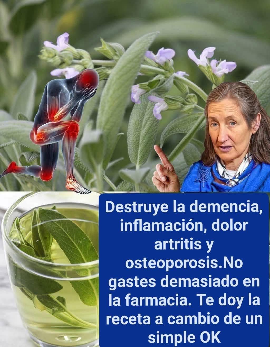 WhatsApp Image 2026 01 29 at 16.46.24