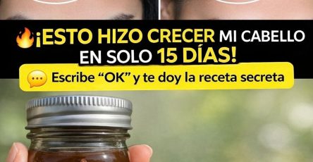 WhatsApp Image 2026 03 22 at 18.15.51