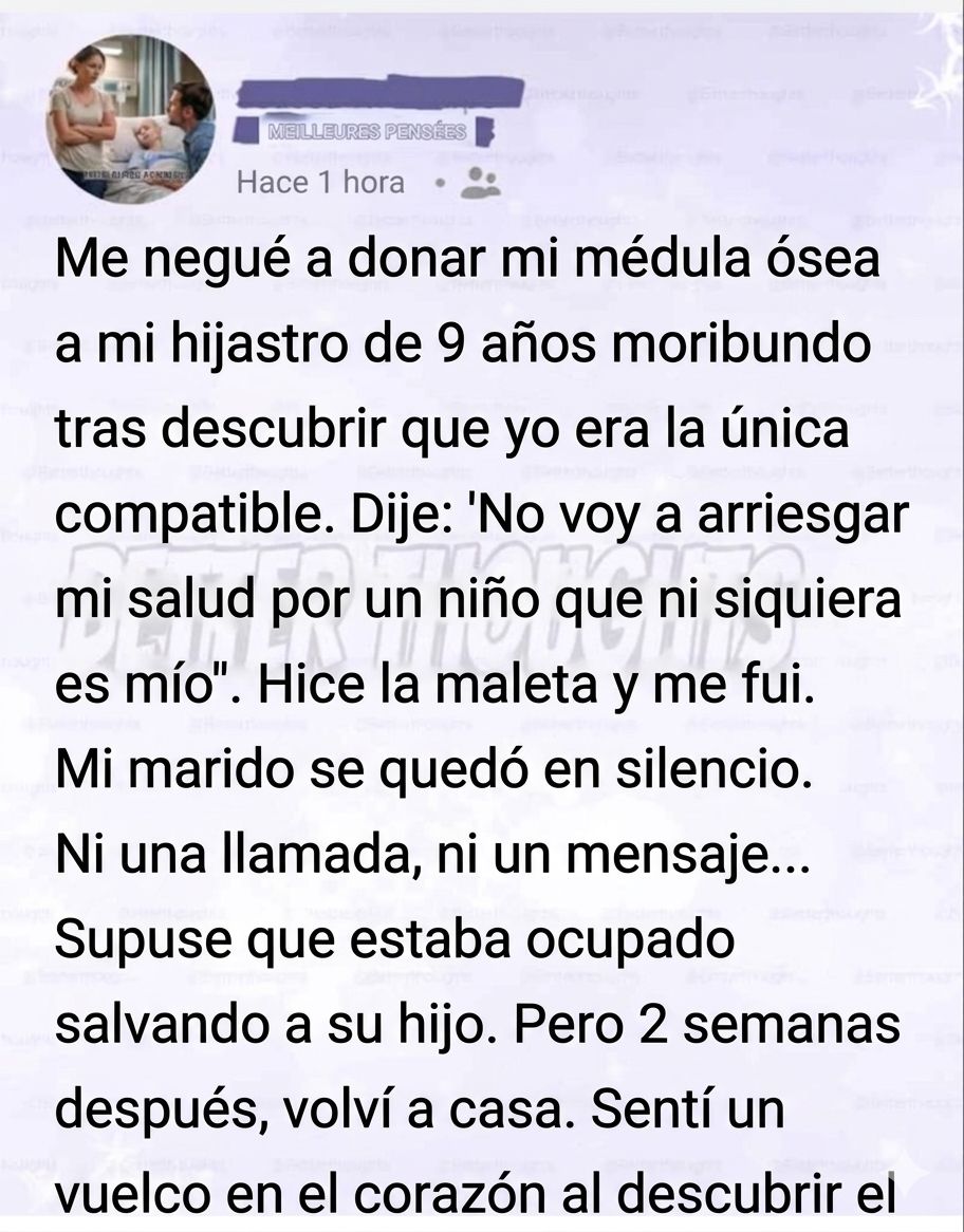 WhatsApp Image 2026 04 08 at 16.39.52