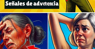 Cb435367 47cd 4a3f 8749 e8237a225292