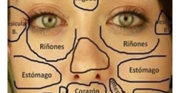 Collage sin titulo 2020 09 04t122848.588