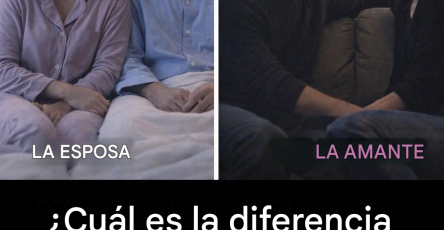 Translated image es 2026 04 15T165051.091