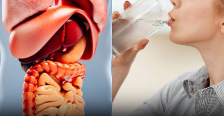 Translated image es 2026 04 24T131007.313