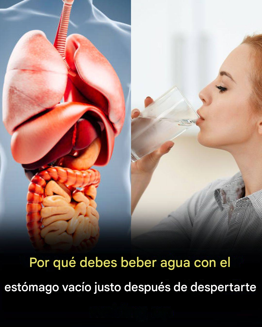 Translated image es 2026 04 24T131007.313