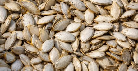 720112441 1661372335155442 5840633126348432742 n
