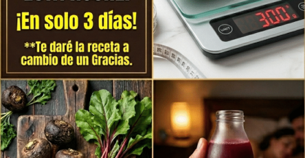 Descarga
