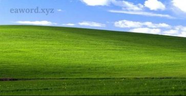 654681744 1493465155682355 7203377545163842280 n