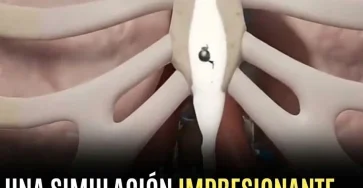 Quy ocurre al tragar esperma simulaciyn viral TikTok