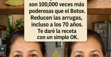 700135503 1437085078220628 8068907414213186350 n